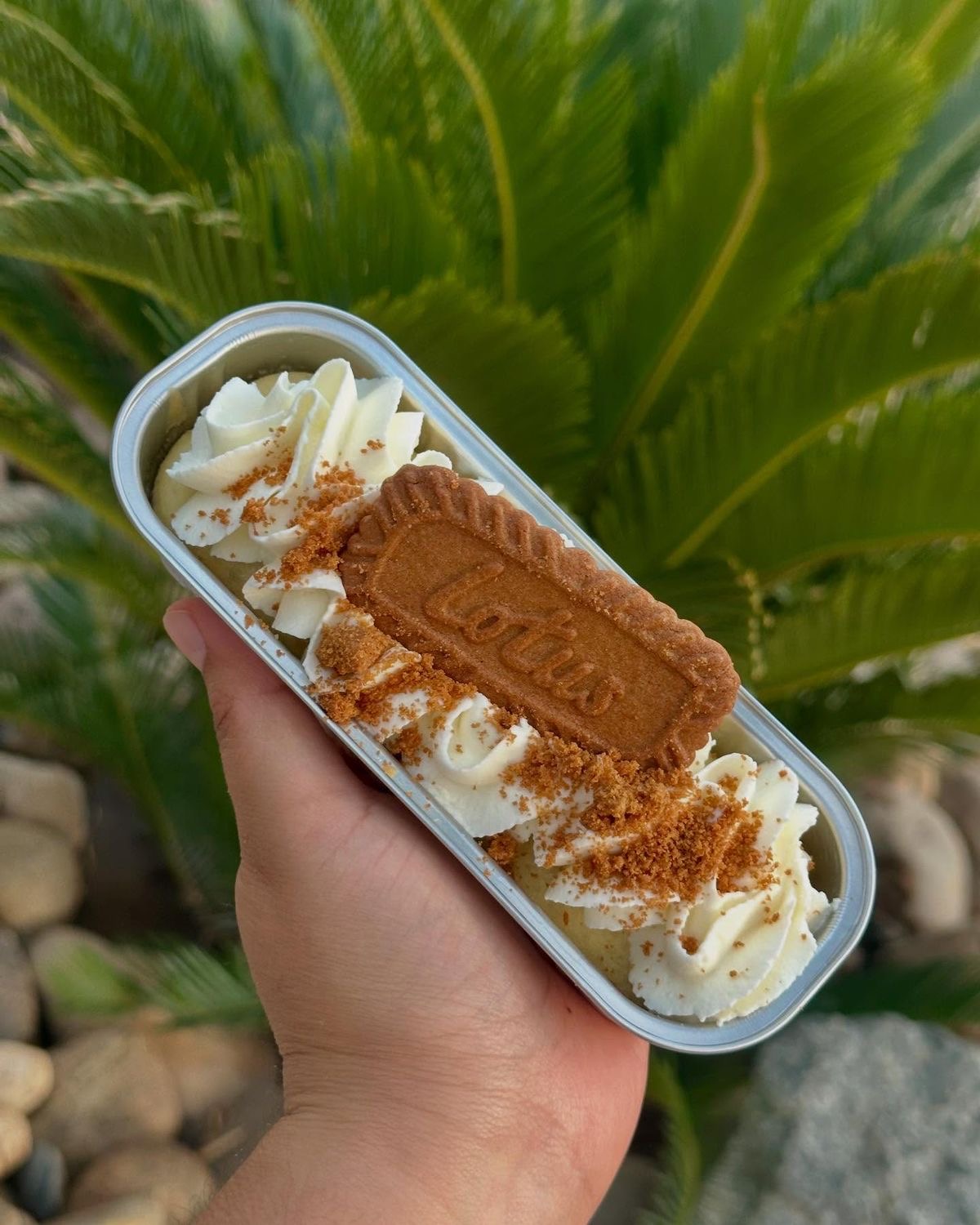 Vanilla whipped cream
